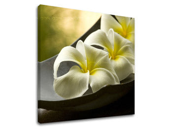 Stenska umetnost FENG SHUI FS031E12