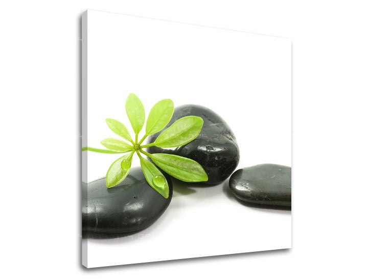 Stenska umetnost FENG SHUI