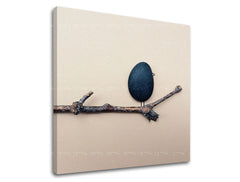 Slikanje sten INSPIRACIJA IN033E12