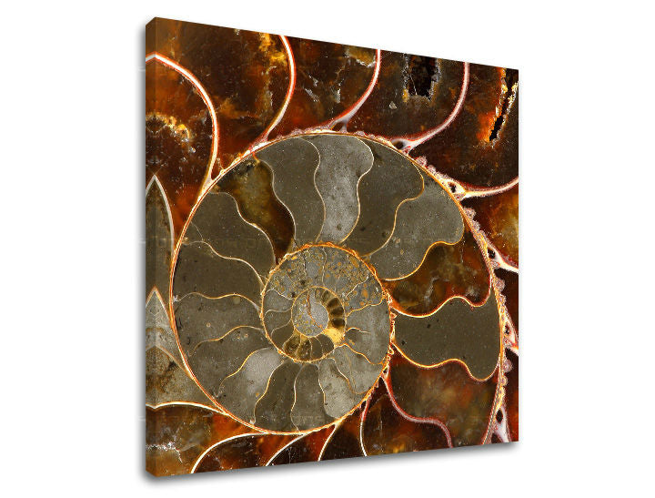 Slikanje sten INSPIRACIJA IN041E12