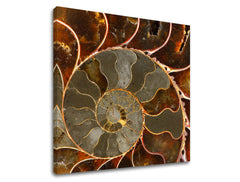 Slikanje sten INSPIRACIJA IN041E12