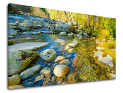 Slikanje sten LAND KR007E11