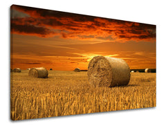 Slikanje sten LAND KR034E11