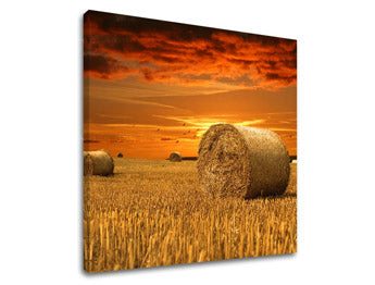 Slikanje sten LAND KR034E12