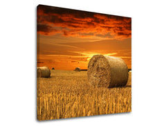 Slikanje sten LAND KR034E12