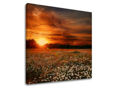 Slikanje sten LAND KR035E12