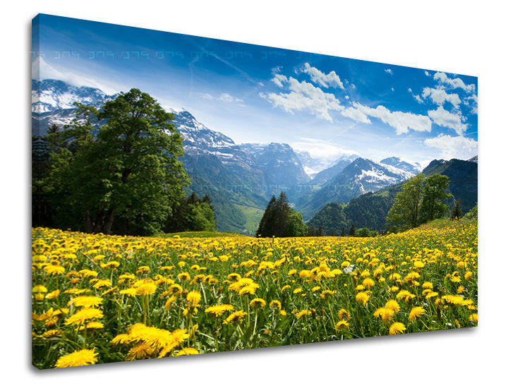 Stenska poslikava LANDSCAPE KR036E11