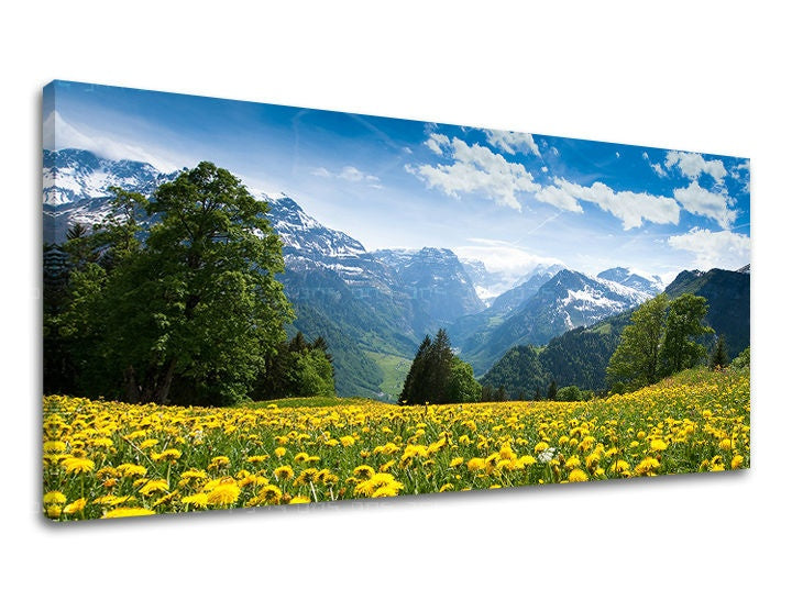 Stenska poslikava PANORAMA POKRAJINA
