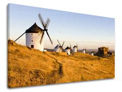 Slikanje sten LAND KR037E11