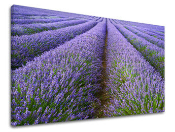 Stenska poslikava LANDSCAPE KR039E11