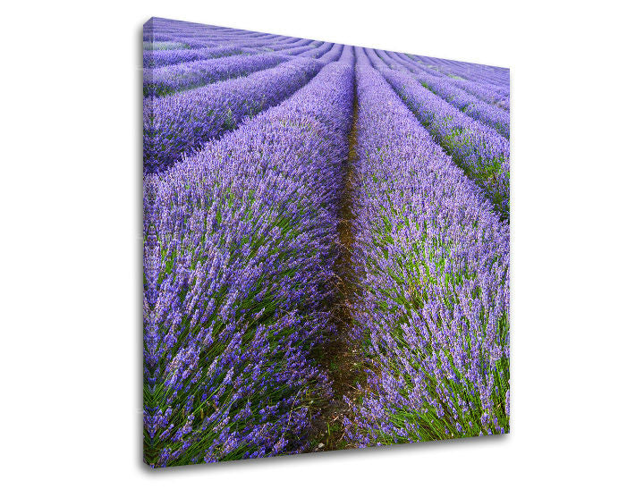 Stenska poslikava LANDSCAPE KR039E12