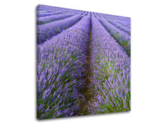 Stenska poslikava LANDSCAPE KR039E12