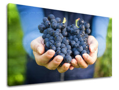 Slikanje sten KUHINJA KU014E11