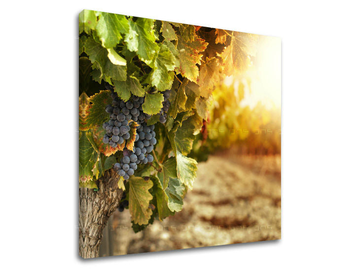 Slikanje sten KUHINJA KU016E12