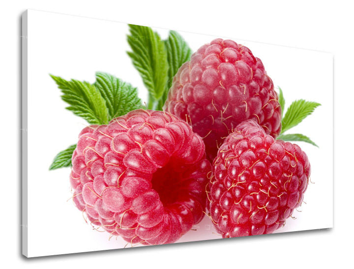 Slikanje sten KUHINJA KU052E11