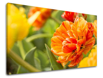 Stenska poslikava FLOWERS KV001E11