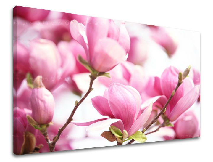 Stenska poslikava FLOWERS KV002E11