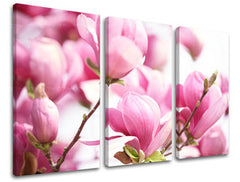 3-delna stenska slika FLOWERS KV002E30