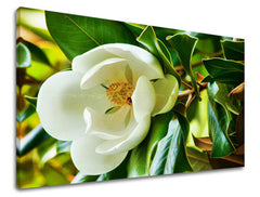 Stenska poslikava FLOWERS KV003E11