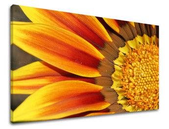 Stenska poslikava FLOWERS KV005E11