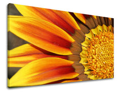 Stenska poslikava FLOWERS KV005E11