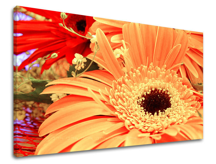 Stenska poslikava FLOWERS KV006E11