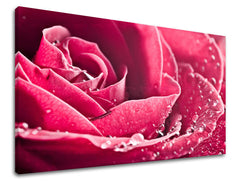 Stenska poslikava FLOWERS KV008E11