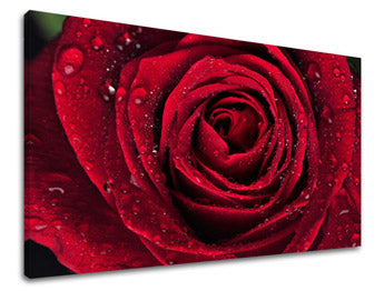 Stenska poslikava FLOWERS KV012E11