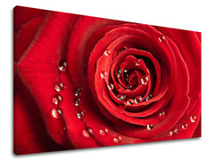 Stenska slika Cvetje vrtnic KV014E11