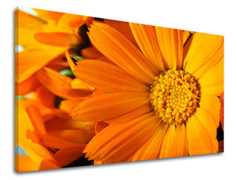 Stenska poslikava Cvetje KV015E11