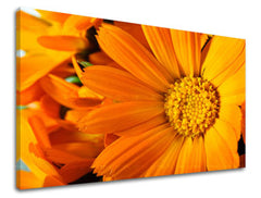 Stenska poslikava Cvetje KV015E11