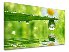 Stenska poslikava FLOWERS KV016E11