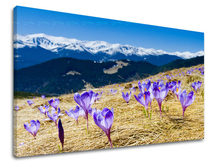 Stenska poslikava FLOWERS KV017E11