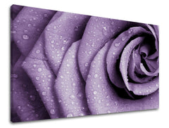 Stenska slika Cvetje vrtnic KV018E11