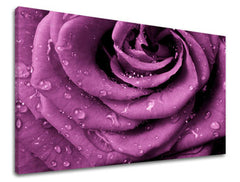 Stenska slika Cvetje vrtnic KV019E11