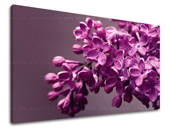 Stenska poslikava FLOWERS KV020E11