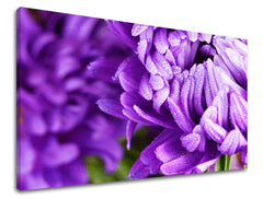 Stenska slika FLOWERS KV022E11