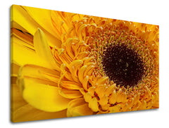 Stenska slika FLOWERS KV023E11