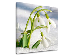 Stenska poslikava FLOWERS KV024E12