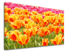 Stenska poslikava CVETJE TULIPÁNY KV025E11