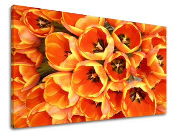 Stenska poslikava CVETJE TULIPÁNY KV026E11