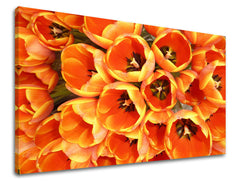 Stenska poslikava CVETJE TULIPÁNY