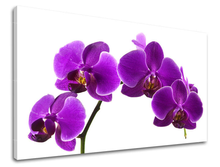 Stenska slika FLOWERS KV028E11