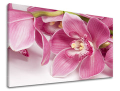 Stenska slika FLOWERS KV034E11