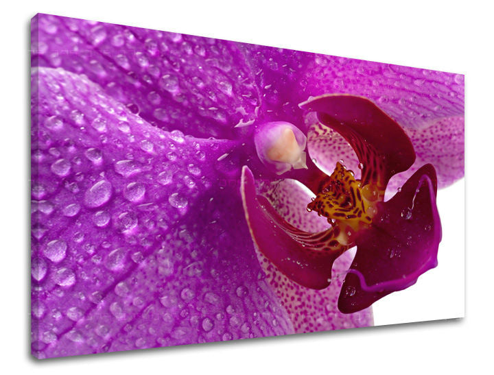 Stenska slika FLOWERS KV035E11