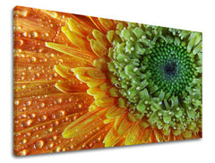 Stenska slika FLOWERS KV037E11