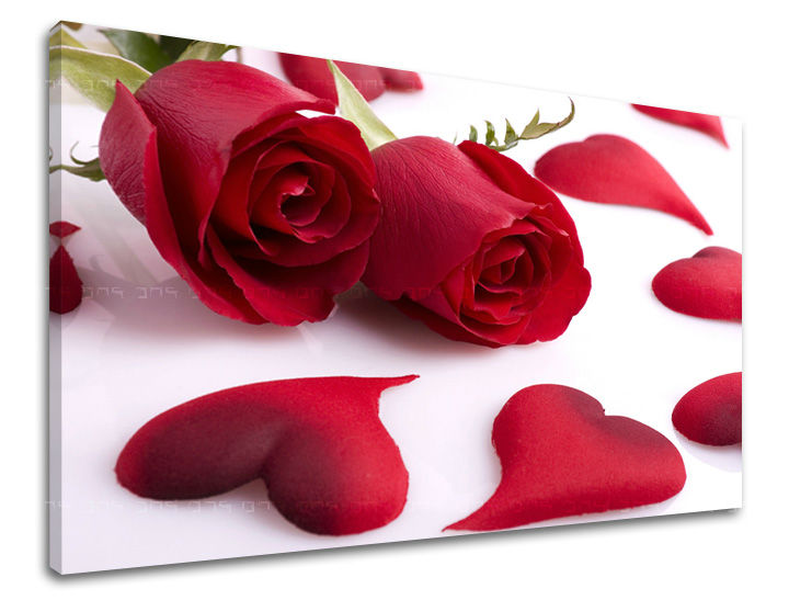 Stenska slika Cvetje vrtnic KV043E11