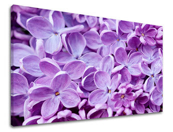 Stenska poslikava FLOWERS KV046E11