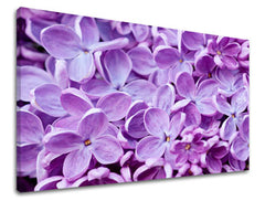 Stenska poslikava FLOWERS KV046E11