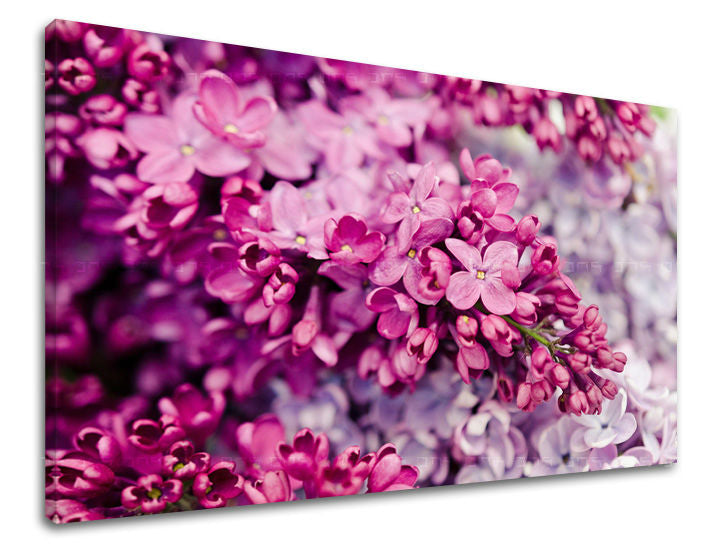 Stenska slika FLOWERS KV048E11